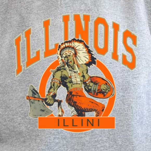 Illinois Fighting Illini Light Grey Sweater, Design Sweatshirt PM - Picture 2 of 4